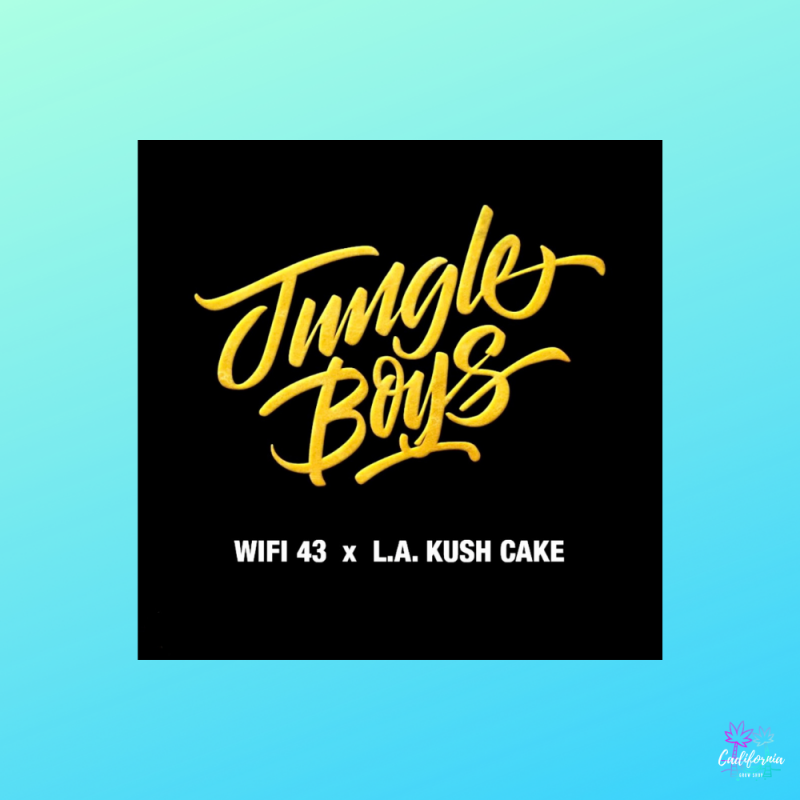 Wifi 43 x La Kush Cake Jungle Boys
