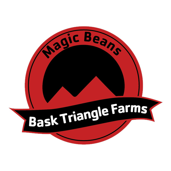 StrawberryBoof 3+1 Bask Triangle Farms Fem